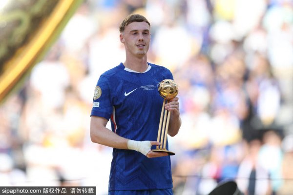 Palmer đã giành được giải thưởng Golden Ball cho Câu lạc bộ World Cup 